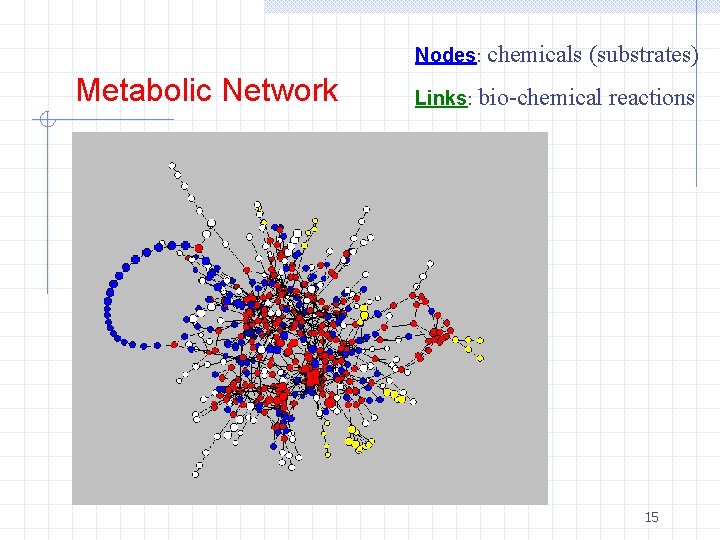 Nodes: chemicals Metabolic Network (substrates) Links: bio-chemical reactions 15 