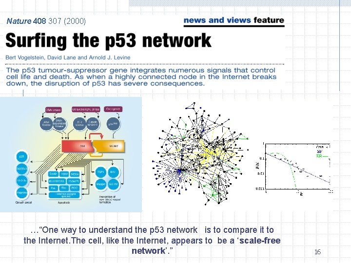 Nature 408 307 (2000) …“One way to understand the p 53 network is to