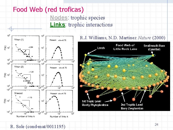 Food Web (red troficas) Nodes: trophic species Links: trophic interactions R. J. Williams, N.