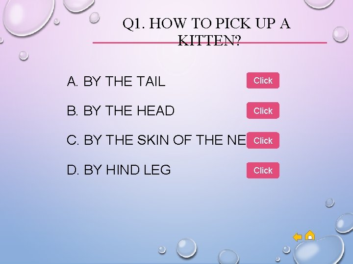 Q 1. HOW TO PICK UP A KITTEN? A. BY THE TAIL Click B. Q 1. HOW TO PICK UP A KITTEN? A. BY THE TAIL Click B.