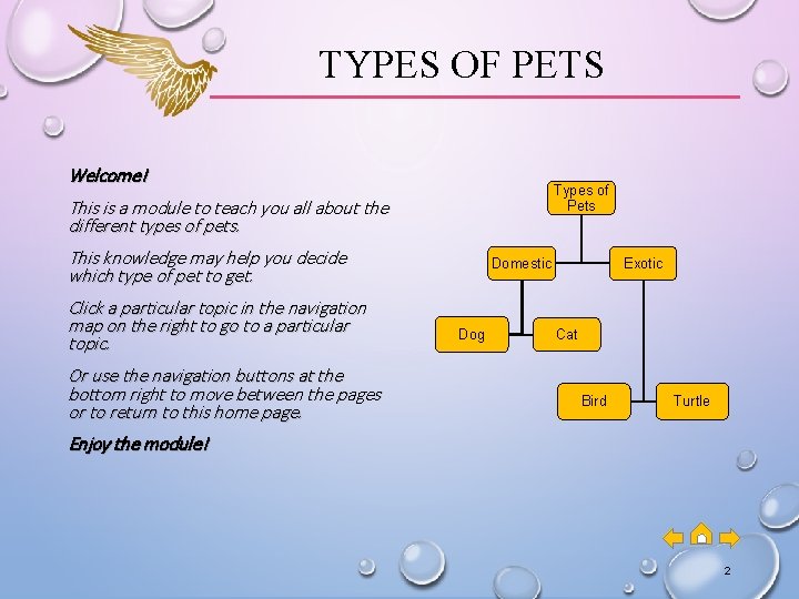 TYPES OF PETS Welcome! Types of Pets This is a module to teach you