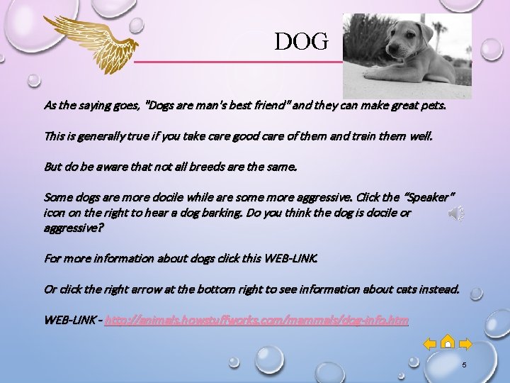 DOG As the saying goes, "Dogs are man's best friend" and they can make DOG As the saying goes, "Dogs are man's best friend" and they can make