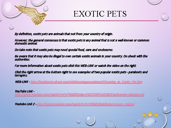 EXOTIC PETS By definition, exotic pets are animals that not from your country of