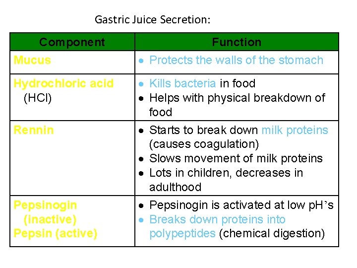 Gastric Juice Secretion: Component Function Mucus Protects the walls of the stomach Hydrochloric acid