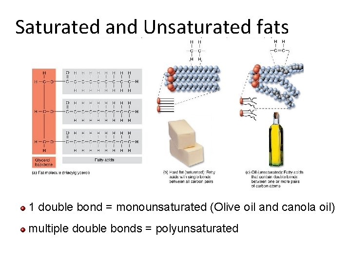 Saturated and Unsaturated fats 1 double bond = monounsaturated (Olive oil and canola oil)