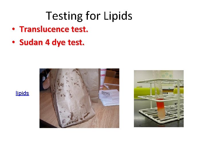 Testing for Lipids • Translucence test. • Sudan 4 dye test. lipids 