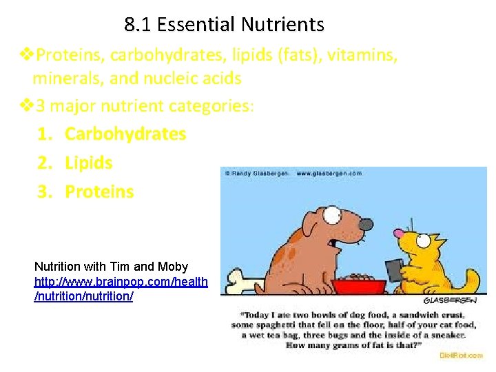 8. 1 Essential Nutrients v. Proteins, carbohydrates, lipids (fats), vitamins, minerals, and nucleic acids