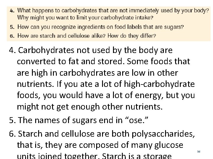 4. Carbohydrates not used by the body are converted to fat and stored. Some