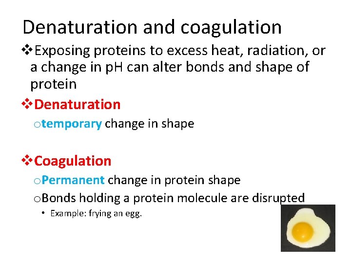 Denaturation and coagulation v. Exposing proteins to excess heat, radiation, or a change in