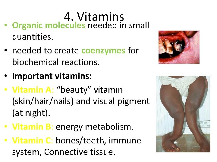 4. Vitamins • Organic molecules needed in small quantities. • needed to create coenzymes