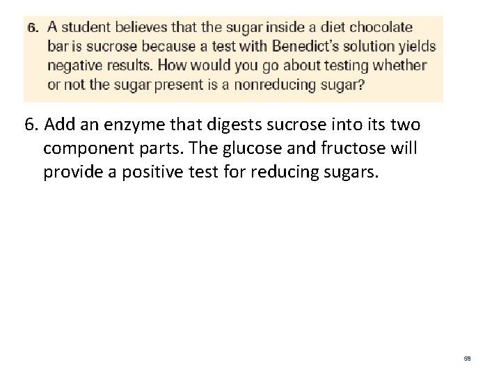 6. Add an enzyme that digests sucrose into its two component parts. The glucose