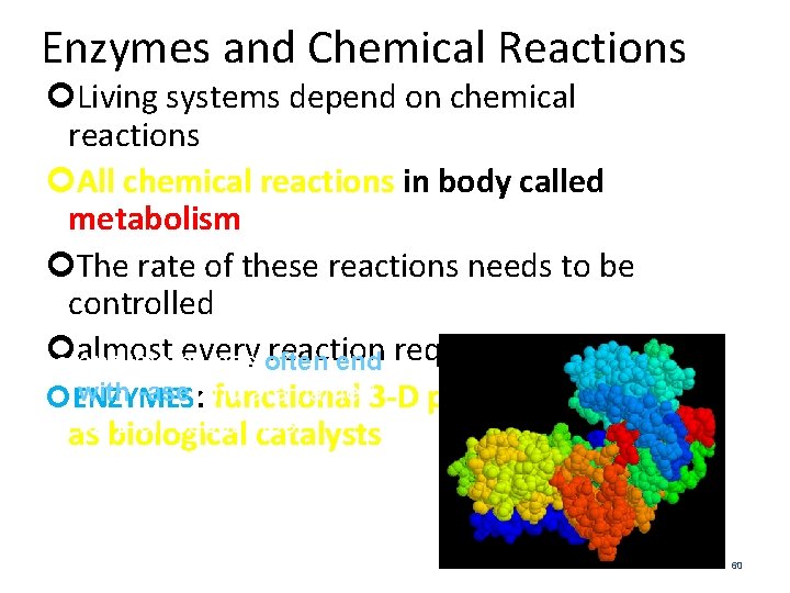 Enzymes and Chemical Reactions Living systems depend on chemical reactions All chemical reactions in