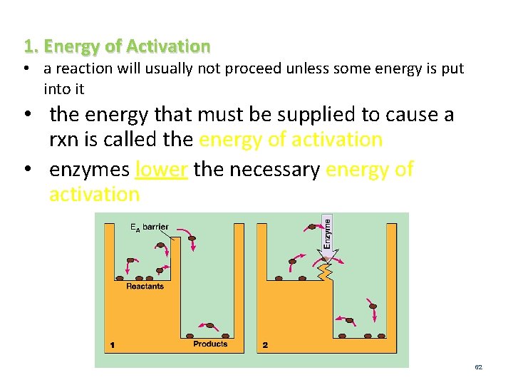 1. Energy of Activation • a reaction will usually not proceed unless some energy