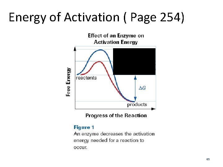 Energy of Activation ( Page 254) 63 
