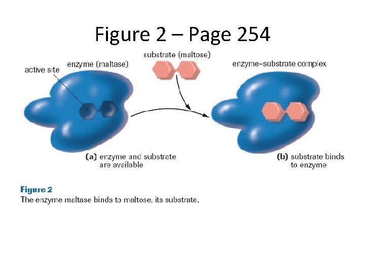 Figure 2 – Page 254 