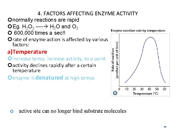 4. FACTORS AFFECTING ENZYME ACTIVITY normally reactions are rapid Eg. H 2 O 2