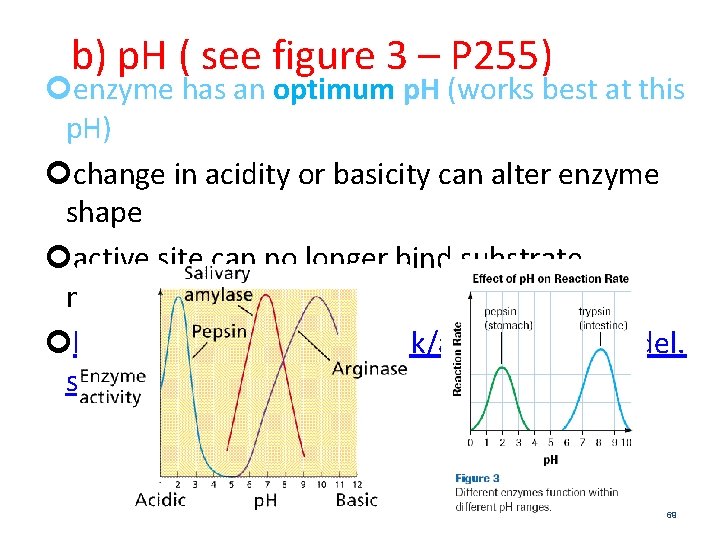 b) p. H ( see figure 3 – P 255) enzyme has an optimum