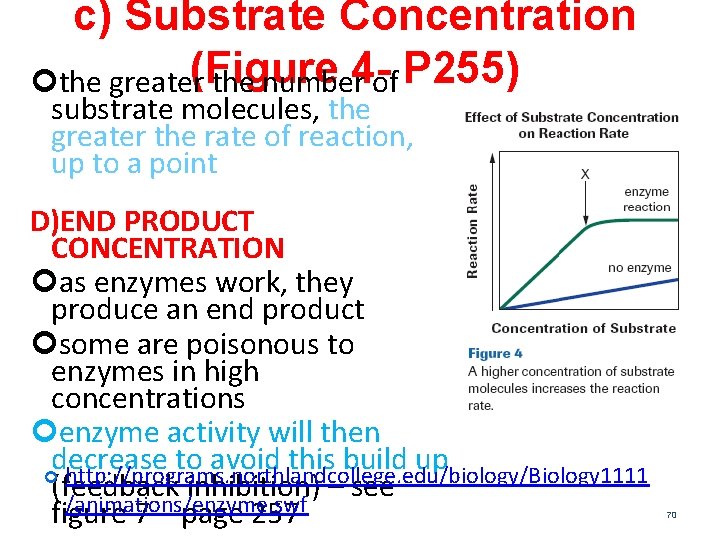 c) Substrate Concentration (Figure 4 - P 255) the greater the number of substrate