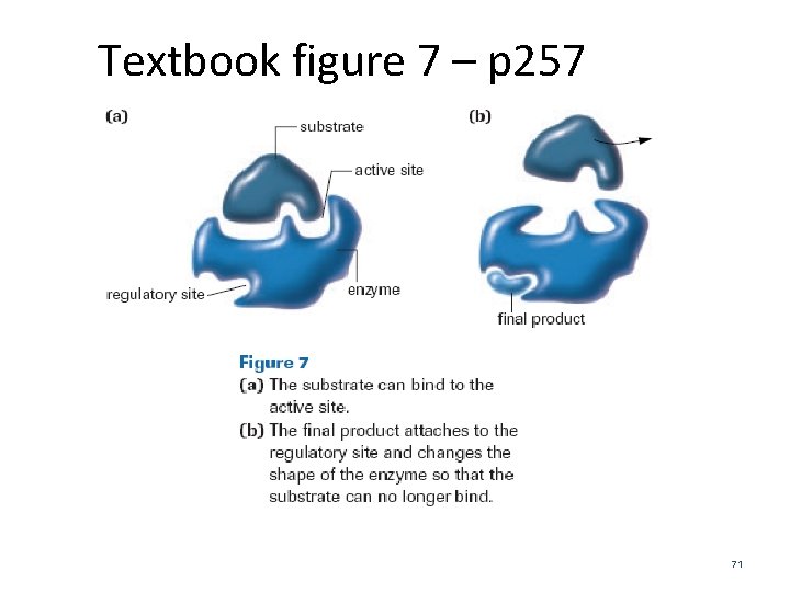 Textbook figure 7 – p 257 71 