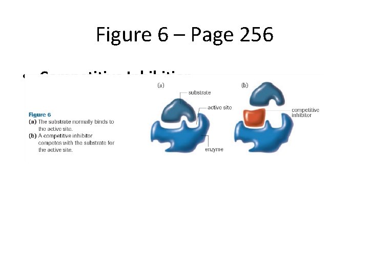 Figure 6 – Page 256 • Competitive Inhibition 