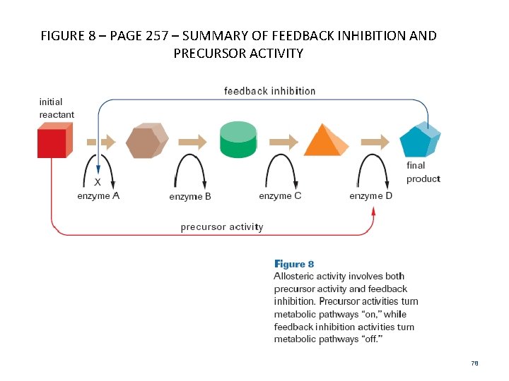 FIGURE 8 – PAGE 257 – SUMMARY OF FEEDBACK INHIBITION AND PRECURSOR ACTIVITY 78