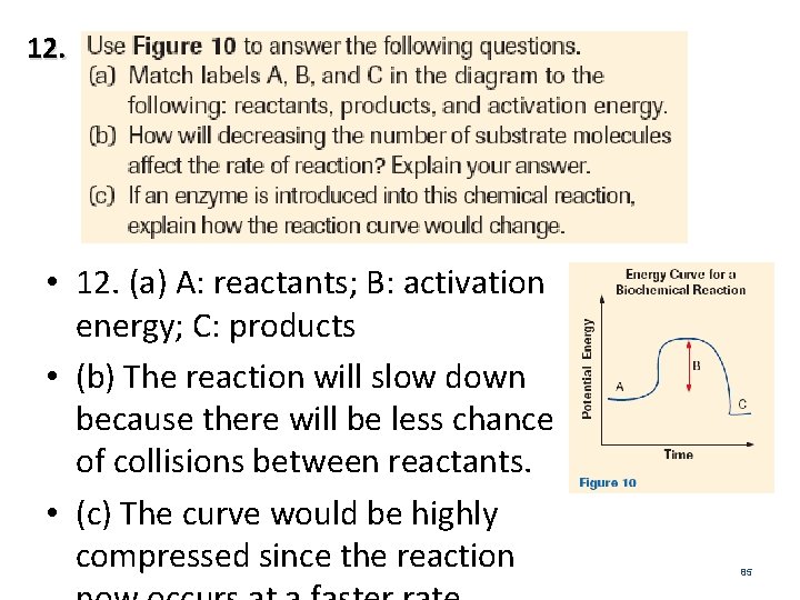 12. • 12. (a) A: reactants; B: activation energy; C: products • (b) The