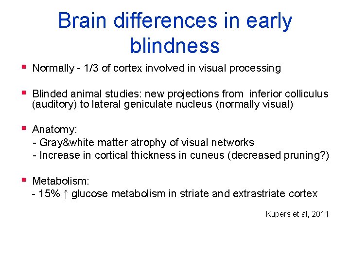 Brain differences in early blindness § Normally - 1/3 of cortex involved in visual