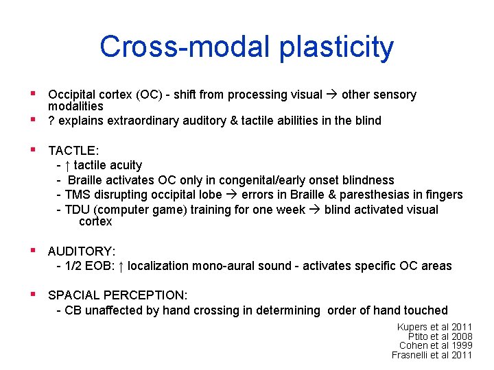 Cross-modal plasticity § Occipital cortex (OC) - shift from processing visual other sensory modalities