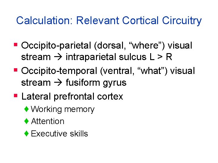 Calculation: Relevant Cortical Circuitry § Occipito-parietal (dorsal, “where”) visual stream intraparietal sulcus L >