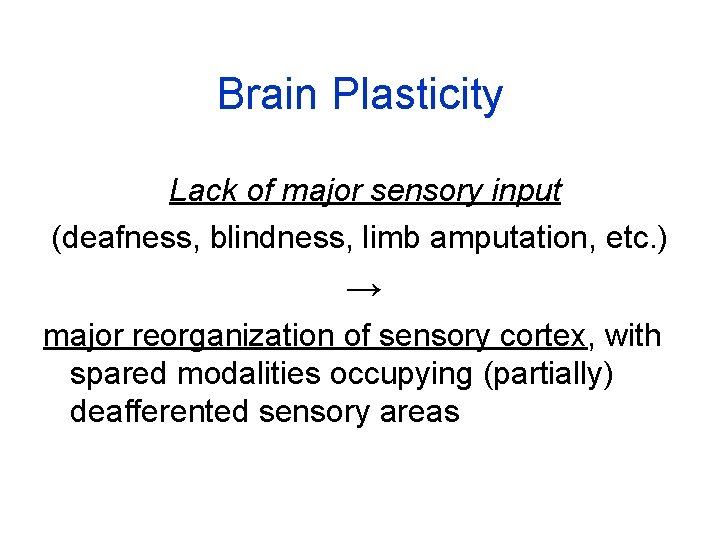 Brain Plasticity Lack of major sensory input (deafness, blindness, limb amputation, etc. ) →