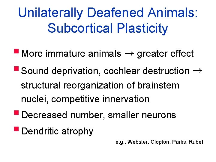 Unilaterally Deafened Animals: Subcortical Plasticity § More immature animals → greater effect § Sound