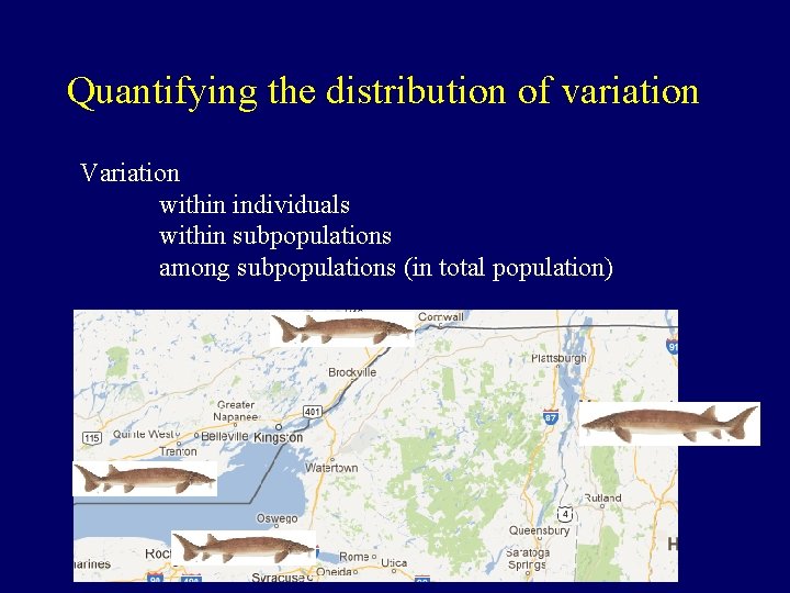 Quantifying the distribution of variation Variation within individuals within subpopulations among subpopulations (in total