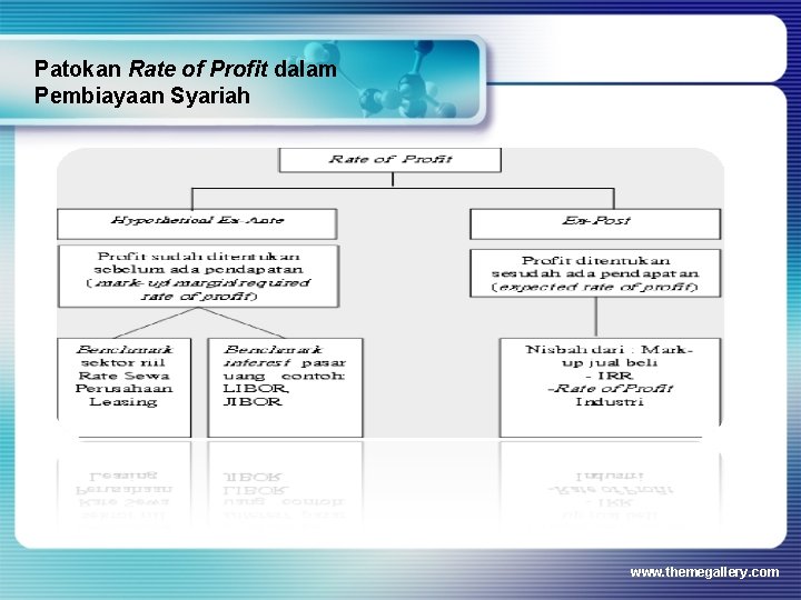 Patokan Rate of Profit dalam Pembiayaan Syariah www. themegallery. com 