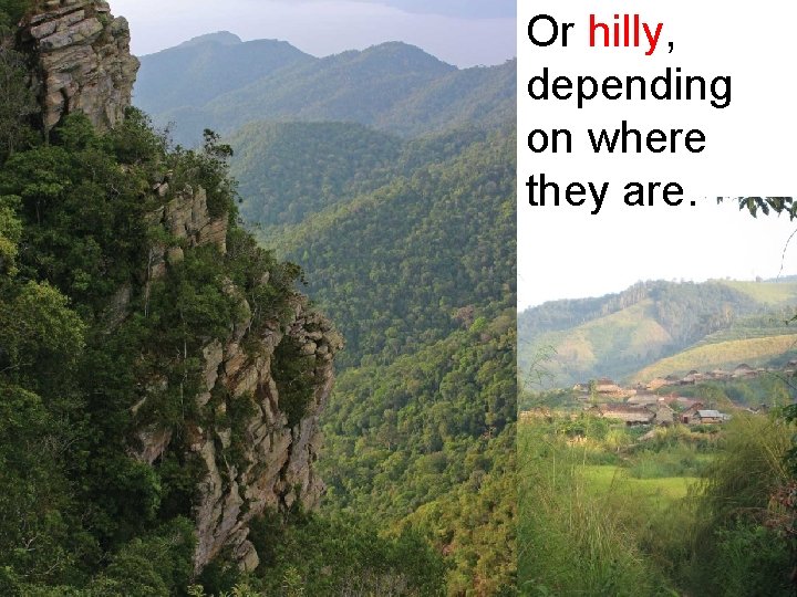 Or hilly, depending on where they are. 