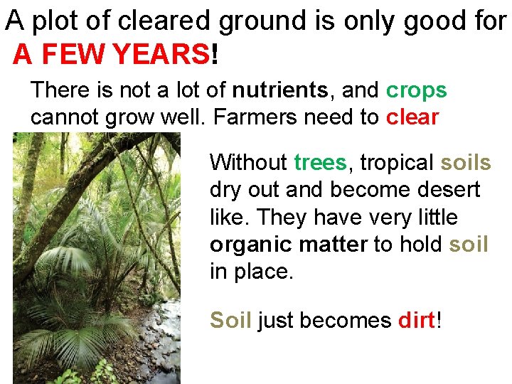 A plot of cleared ground is only good for A FEW YEARS! There is