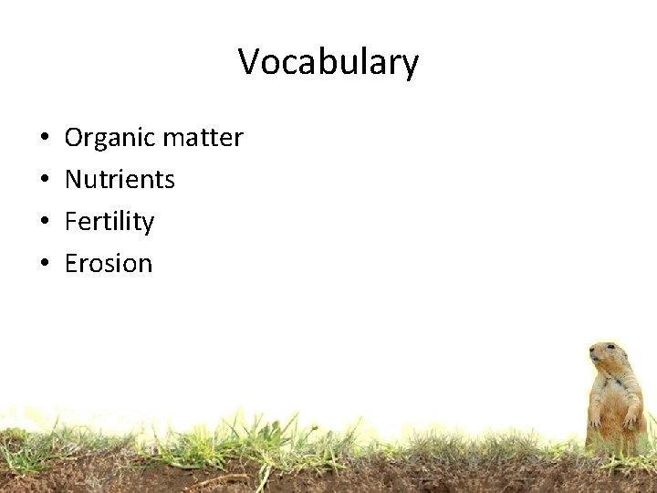 Vocabulary • • Organic matter Nutrients Fertility Erosion 