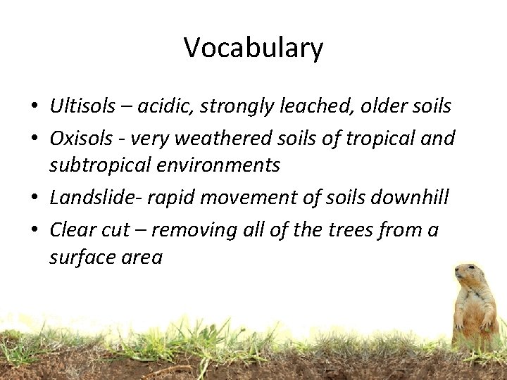 Vocabulary • Ultisols – acidic, strongly leached, older soils • Oxisols - very weathered
