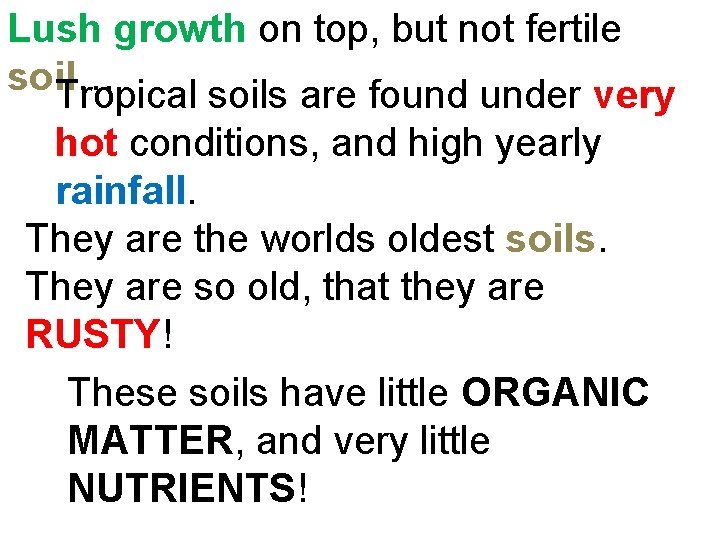 Lush growth on top, but not fertile soil… Tropical soils are found under very