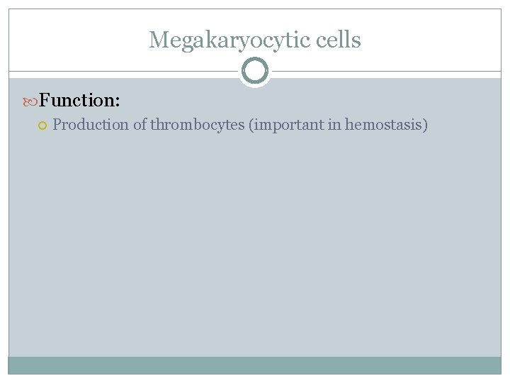Megakaryocytic cells Function: Production of thrombocytes (important in hemostasis) 