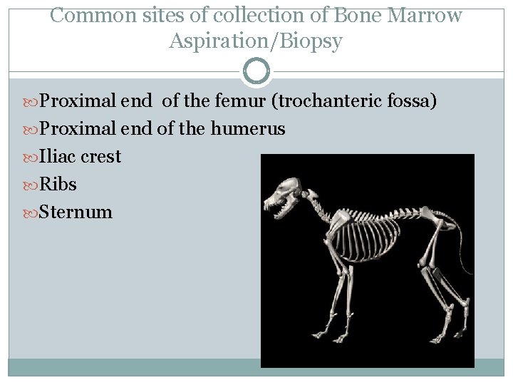 Common sites of collection of Bone Marrow Aspiration/Biopsy Proximal end of the femur (trochanteric