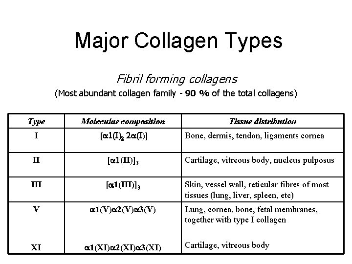 Major Collagen Types Fibril forming collagens (Most abundant collagen family - 90 % of Major Collagen Types Fibril forming collagens (Most abundant collagen family - 90 % of