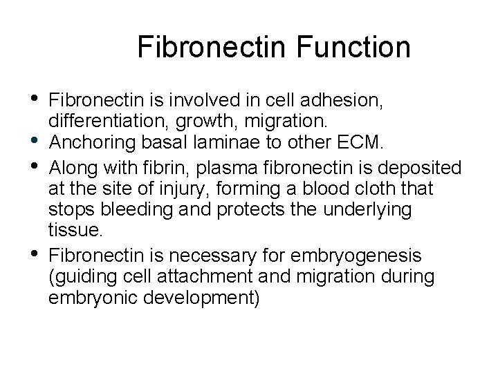 Fibronectin Function • • Fibronectin is involved in cell adhesion, differentiation, growth, migration. Anchoring Fibronectin Function • • Fibronectin is involved in cell adhesion, differentiation, growth, migration. Anchoring