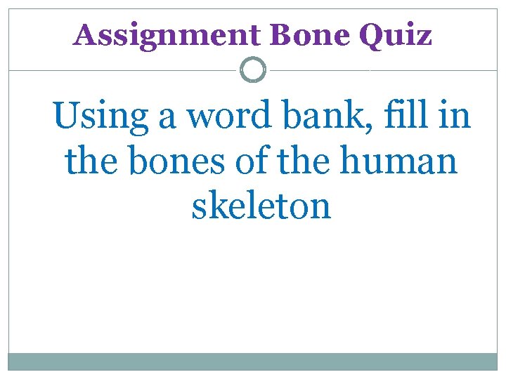 Assignment Bone Quiz Using a word bank, fill in the bones of the human