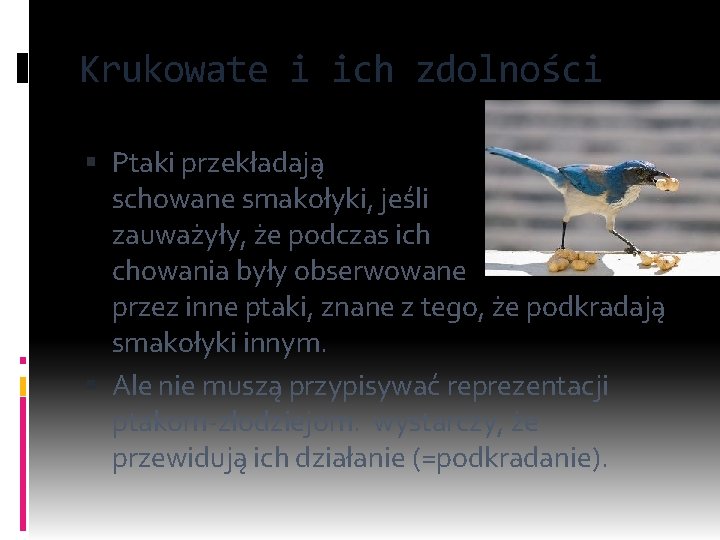 Krukowate i ich zdolności Ptaki przekładają schowane smakołyki, jeśli zauważyły, że podczas ich chowania