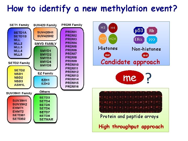 How to identify a new methylation event? H 3 H 4 p 53 Rb