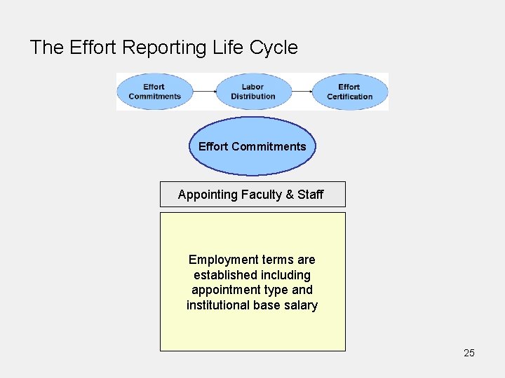 The Effort Reporting Life Cycle Effort Commitments Appointing Faculty & Staff Employment terms are