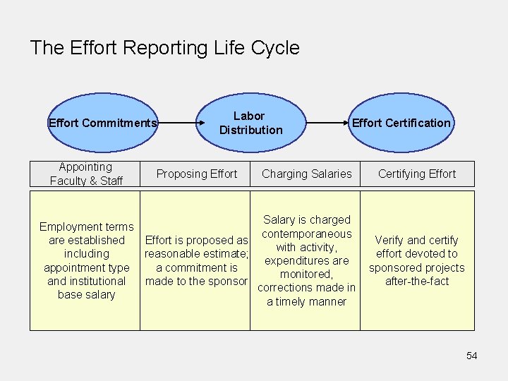 The Effort Reporting Life Cycle Effort Commitments Appointing Faculty & Staff Labor Distribution Proposing