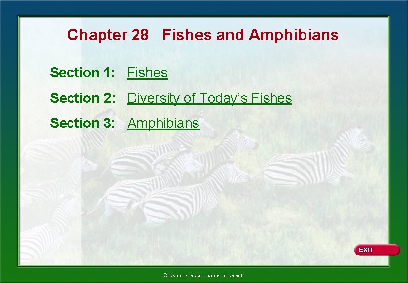 Chapter 28 Fishes and Amphibians Section 1: Fishes Section 2: Diversity of Today’s Fishes