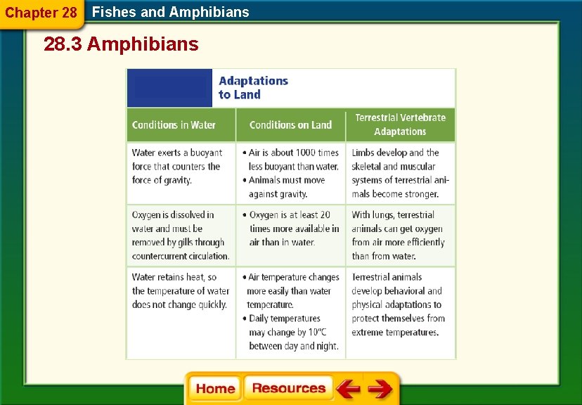 Chapter 28 Fishes and Amphibians 28. 3 Amphibians 