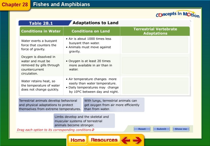 Chapter 28 Fishes and Amphibians 